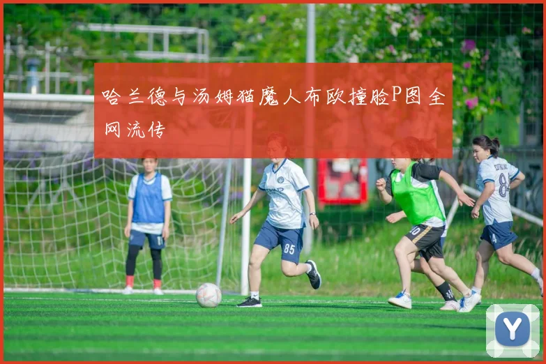哈兰德与汤姆猫魔人布欧撞脸P图全网流传